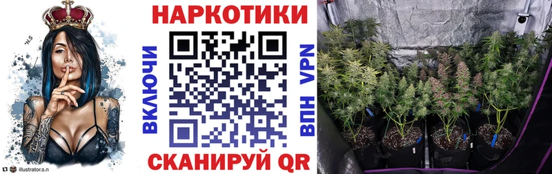 Магазин наркотиков Дальнегорск Гашиш  hydra как войти  МЕФ  Каннабис  Галлюциногенные грибы 