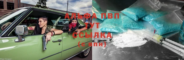 ешки Горняк