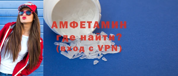ешки Горняк