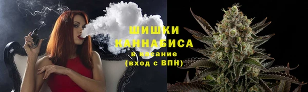 ешки Горняк