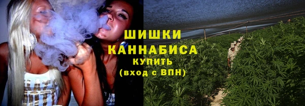 ешки Горняк