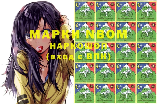 ешки Горняк