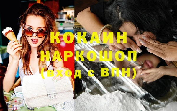 ешки Горняк